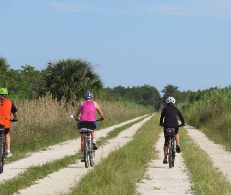 Everglades Bike Ride