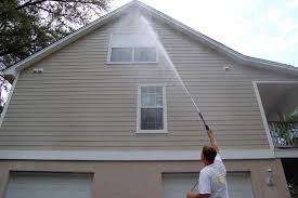 siding cleaning